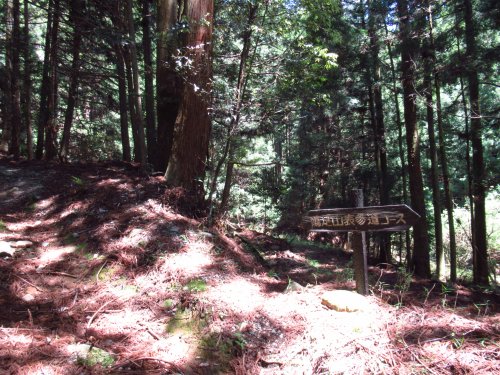 登山道
